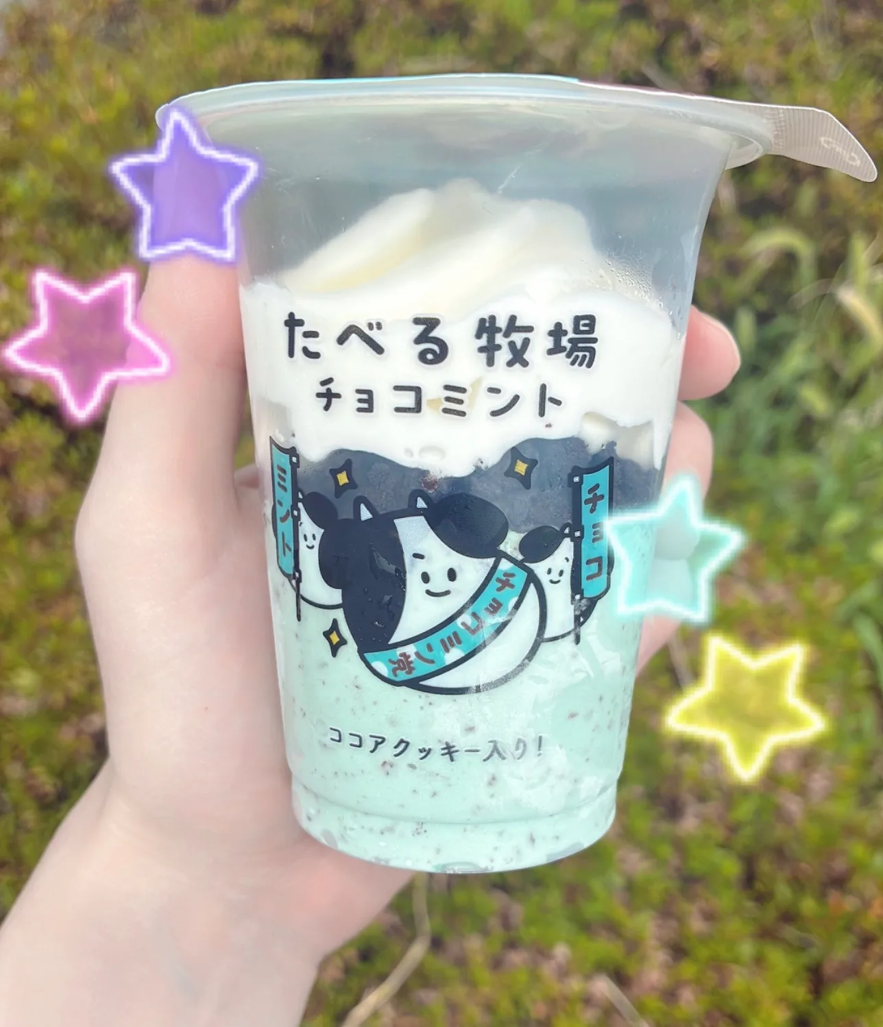 投稿画像